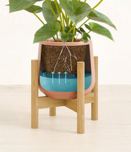 Load image into Gallery viewer, Calm Rose stand:bamboo
