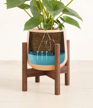 Load image into Gallery viewer, Gentle Pink stand:walnut
