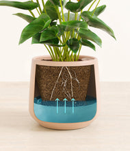 Load image into Gallery viewer, Gentle Pink
