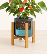 Load image into Gallery viewer, Deep Navy stand:light
