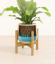 Load image into Gallery viewer, Almond Green stand:bamboo
