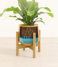 Load image into Gallery viewer, Mustard stand:bamboo
