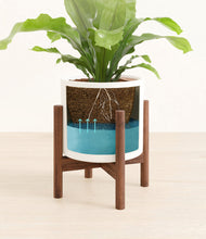 Load image into Gallery viewer, White stand:walnut
