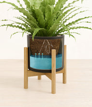 Load image into Gallery viewer, Black stand:bamboo
