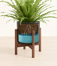 Load image into Gallery viewer, Black stand:walnut
