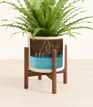 Load image into Gallery viewer, Cream stand:walnut
