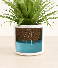 Load image into Gallery viewer, White
