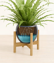 Load image into Gallery viewer, Deep Navy stand:bamboo
