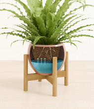 Load image into Gallery viewer, Calm Rose stand:bamboo
