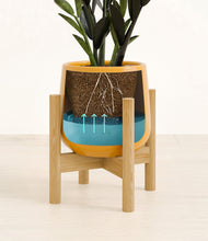 Load image into Gallery viewer, Mustard stand:bamboo
