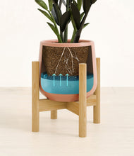 Load image into Gallery viewer, Calm Rose stand:bamboo
