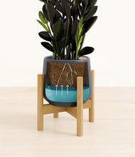 Load image into Gallery viewer, Deep Navy stand:bamboo
