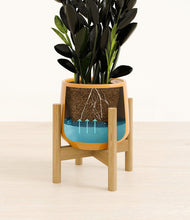 Load image into Gallery viewer, Mustard stand:bamboo
