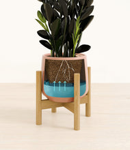 Load image into Gallery viewer, Calm Rose stand:bamboo
