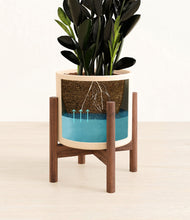 Load image into Gallery viewer, Cream stand:walnut
