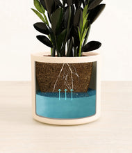 Load image into Gallery viewer, Cream
