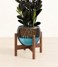 Load image into Gallery viewer, Deep Navy stand:walnut
