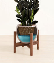 Load image into Gallery viewer, Winter Clouds stand:walnut
