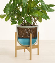 Load image into Gallery viewer, Sage Green stand:bamboo

