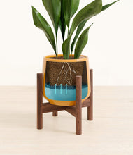 Load image into Gallery viewer, Mustard stand:walnut
