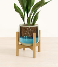 Load image into Gallery viewer, Turquoise stand:bamboo
