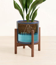 Load image into Gallery viewer, Deep Navy stand:walnut
