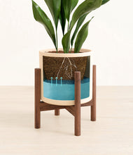 Load image into Gallery viewer, Cream stand:walnut
