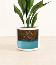 Load image into Gallery viewer, White
