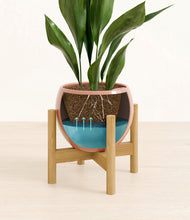 Load image into Gallery viewer, Calm Rose stand:bamboo
