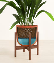 Load image into Gallery viewer, Earth Red stand:walnut
