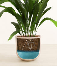 Load image into Gallery viewer, Sandy Pink
