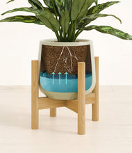 Load image into Gallery viewer, Turquoise stand:bamboo
