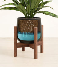 Load image into Gallery viewer, Black stand:walnut
