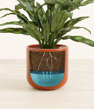 Load image into Gallery viewer, Glossy Red
