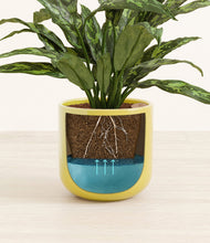 Load image into Gallery viewer, Key Lime Yellow
