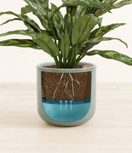 Load image into Gallery viewer, Reactive Aqua
