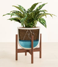 Load image into Gallery viewer, Natural Bamboo stand:walnut
