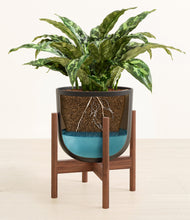 Load image into Gallery viewer, Stone Black stand:walnut
