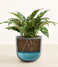 Load image into Gallery viewer, Iron Gray
