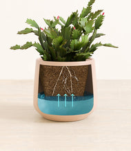 Load image into Gallery viewer, Gentle Pink
