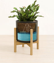 Load image into Gallery viewer, Black stand:bamboo
