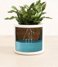 Load image into Gallery viewer, White
