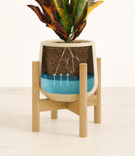 Load image into Gallery viewer, Almond Green stand:bamboo
