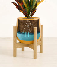 Load image into Gallery viewer, Mustard stand:bamboo
