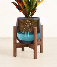 Load image into Gallery viewer, Deep Navy stand:walnut
