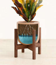 Load image into Gallery viewer, Striped Peach Pink stand:walnut
