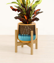 Load image into Gallery viewer, Mustard stand:bamboo
