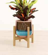 Load image into Gallery viewer, Calm Rose stand:bamboo
