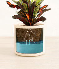 Load image into Gallery viewer, Cream
