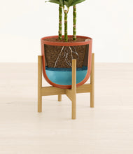Load image into Gallery viewer, Earth Red stand:bamboo

